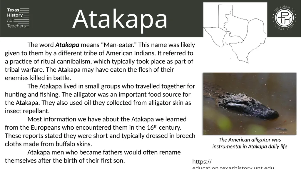 Unit 1: Natural Texas and Its People Lesson 5: - slide 13 of 24