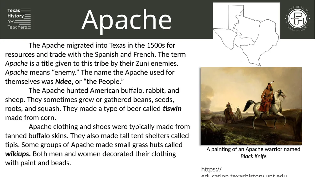 Unit 1: Natural Texas and Its People Lesson 5: - slide 17 of 24