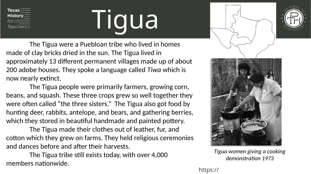 Unit 1: Natural Texas and Its People Lesson 5: - slide 20 of 24
