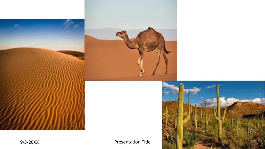 The western desert Chapter – 4 9/3/20XX - slide 2 of 19