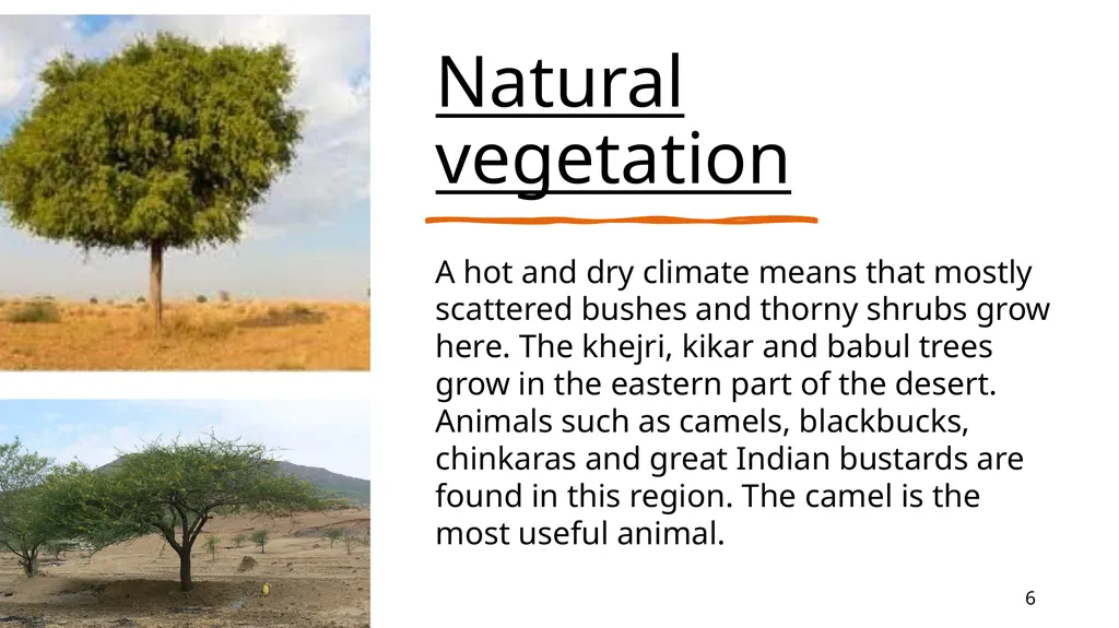 The western desert Chapter – 4 9/3/20XX - slide 6 of 19