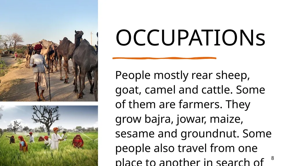 The western desert Chapter – 4 9/3/20XX - slide 8 of 19