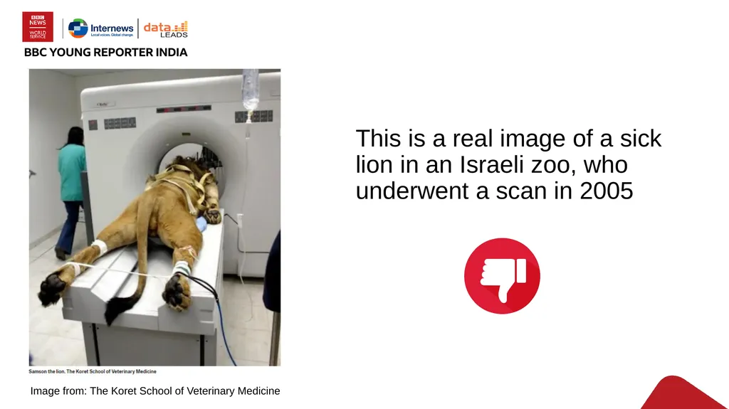 Digital skills for life Classroom resources Module - slide 10 of 21
