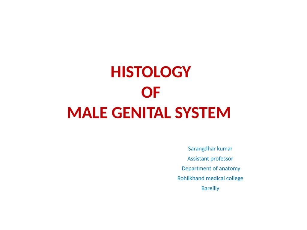HISTOLOGY OF MALE GENITAL SYSTEM Sarangdhar kumar - slide 1 of 21