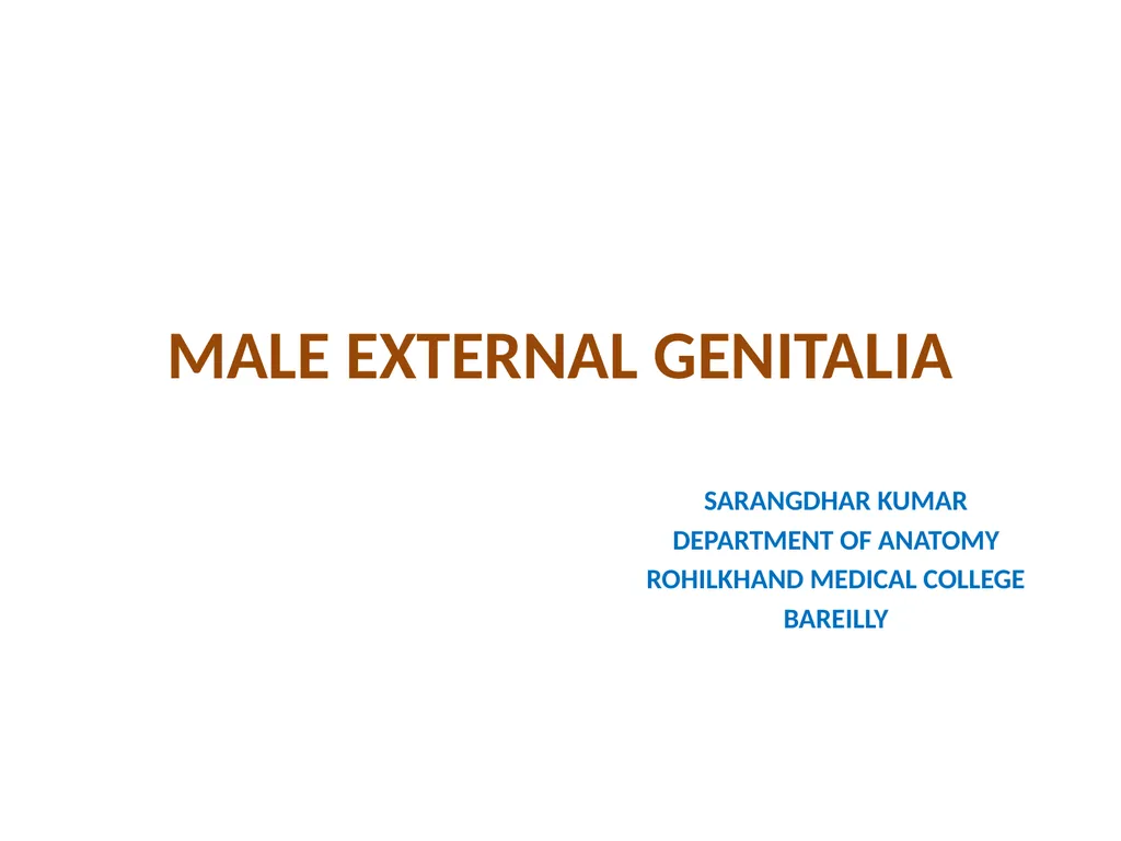 MALE EXTERNAL GENITALIA SARANGDHAR KUMAR - slide 1 of 15