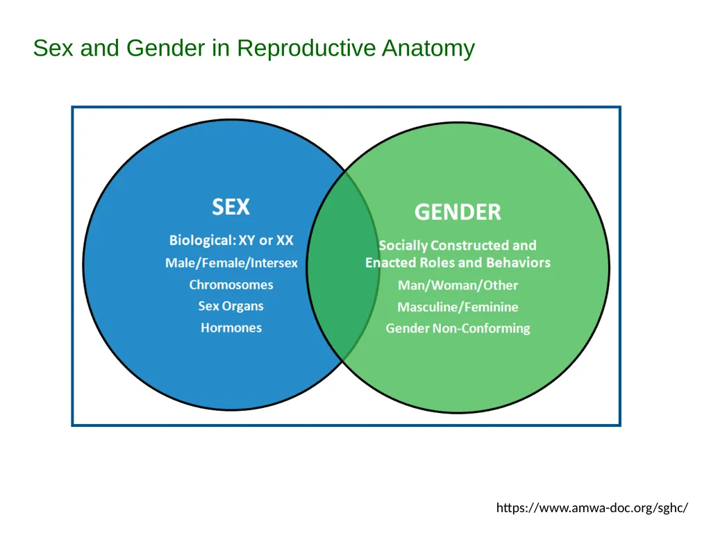 Description: This set of PowerPoint slides can be - slide 4 of 6
