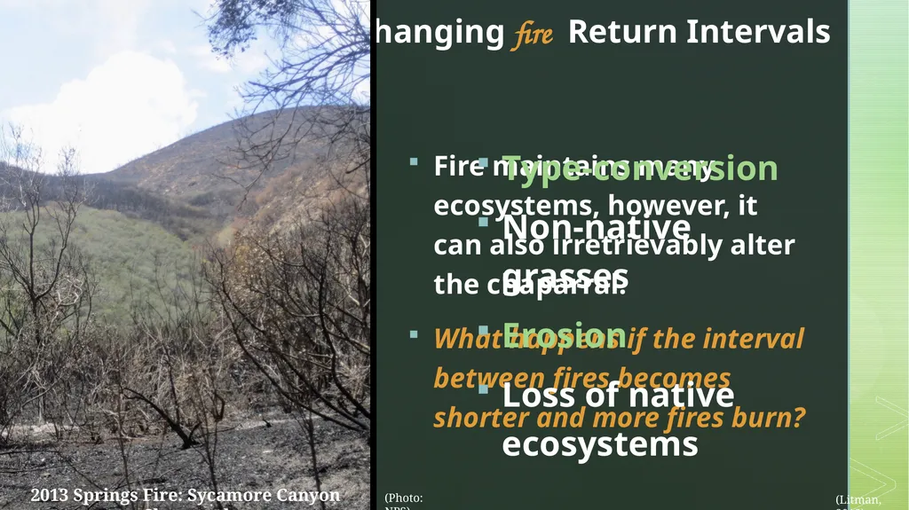 fire ecology The relationship between wildfire & - slide 13 of 33