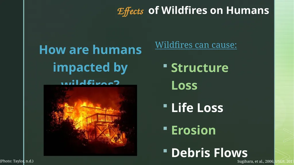 fire ecology The relationship between wildfire & - slide 26 of 33