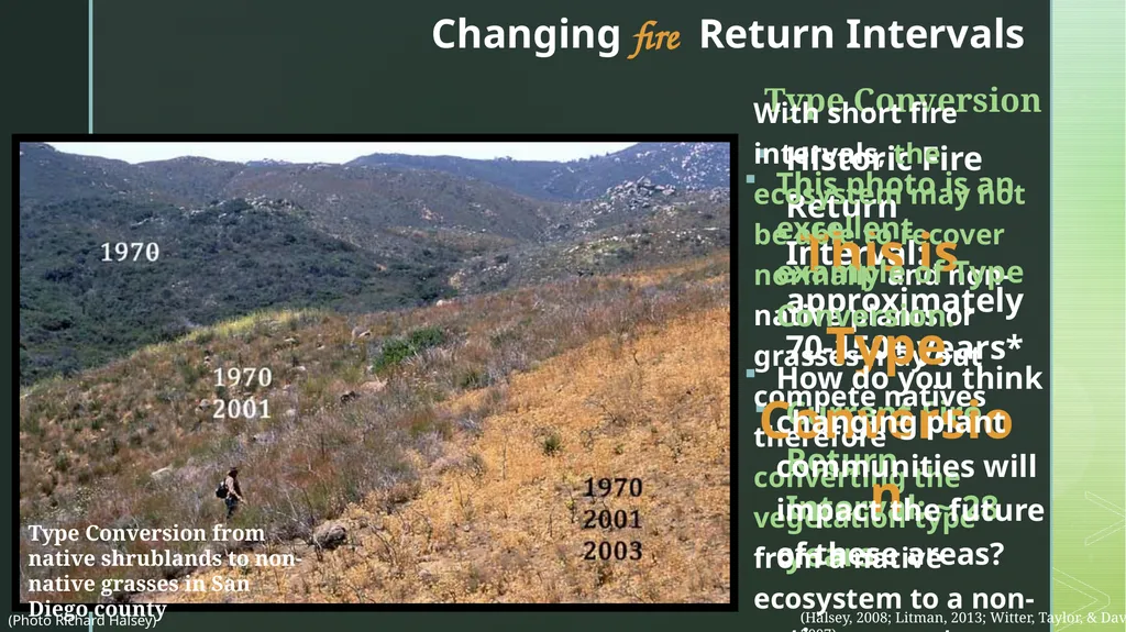 fire ecology The relationship between wildfire & - slide 14 of 33