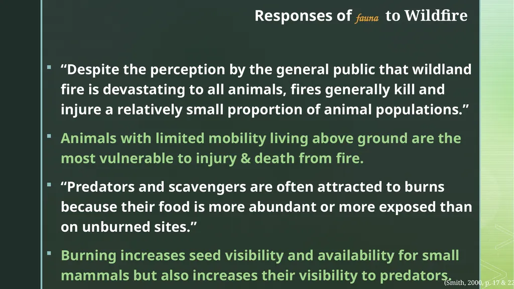 fire ecology The relationship between wildfire & - slide 17 of 33