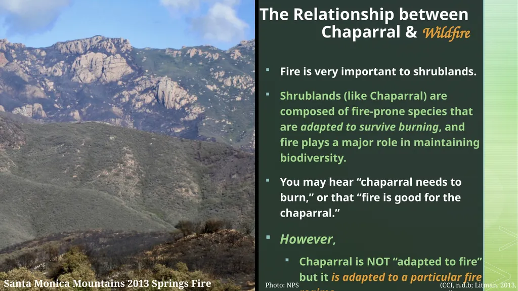 fire ecology The relationship between wildfire & - slide 6 of 33