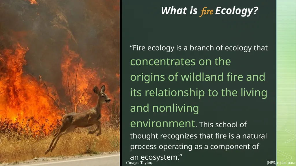 fire ecology The relationship between wildfire & - slide 3 of 33