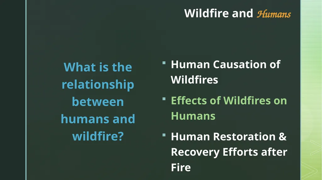 fire ecology The relationship between wildfire & - slide 22 of 33