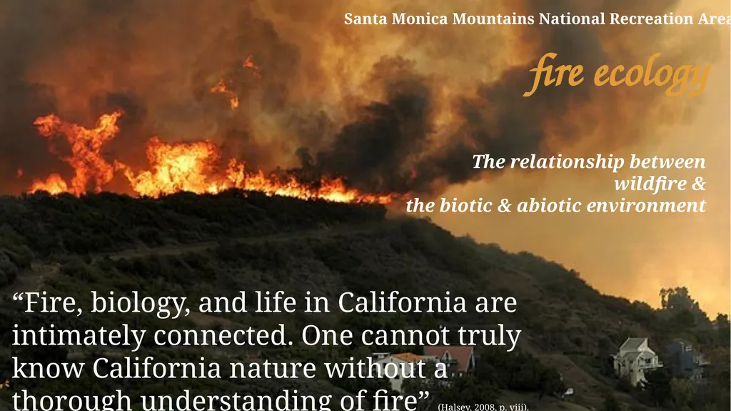 fire ecology The relationship between wildfire & - slide 1 of 33