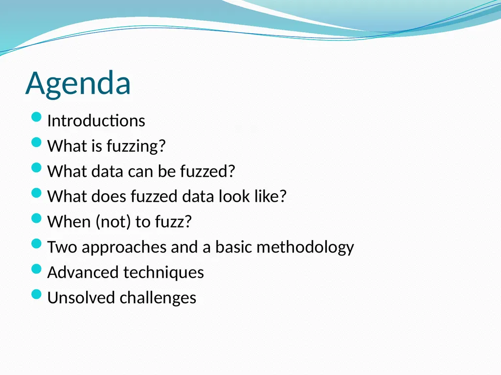 Fuzzing for Security Flaws John Heasman Stanford - slide 2 of 40