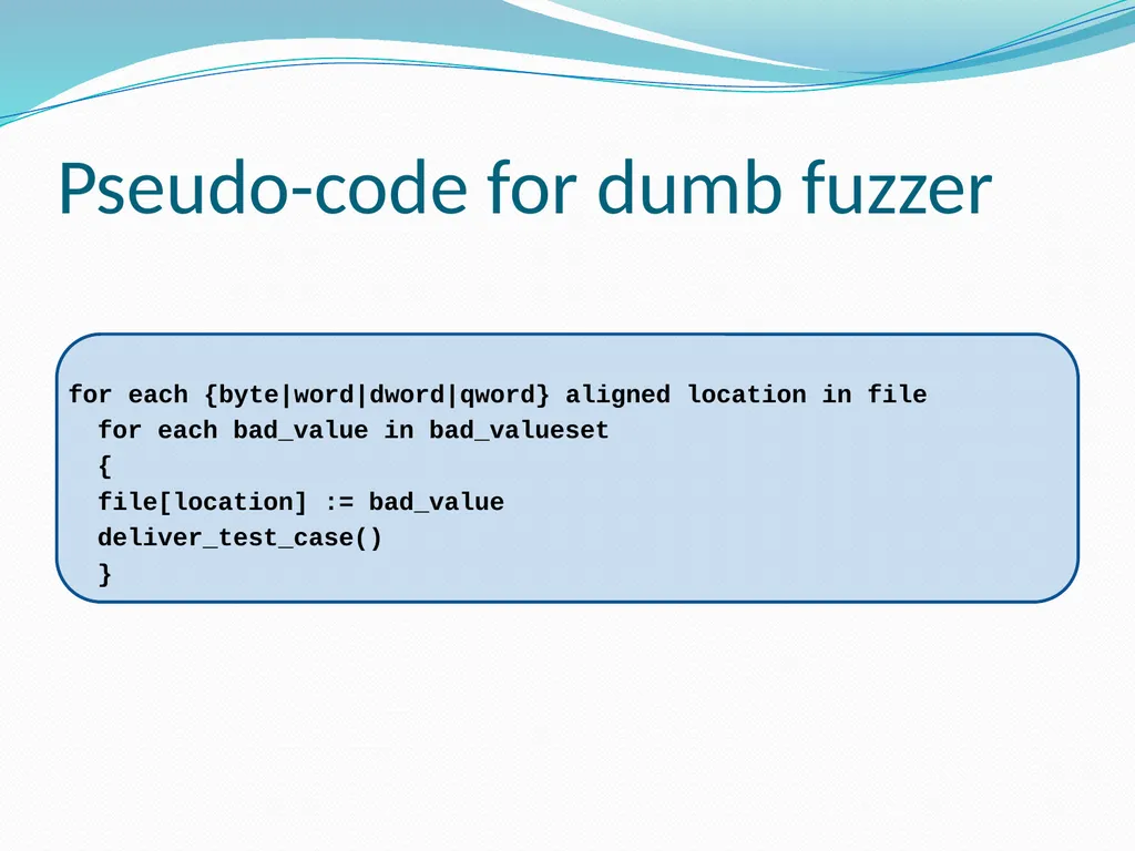 Fuzzing for Security Flaws John Heasman Stanford - slide 13 of 40