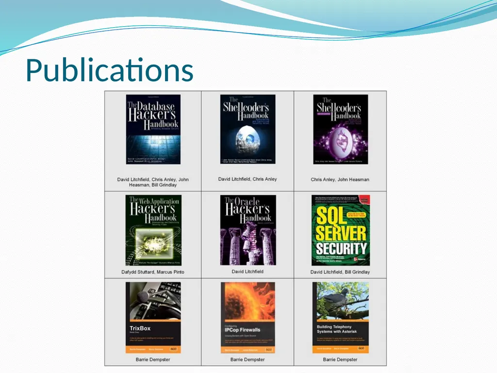 Fuzzing for Security Flaws John Heasman Stanford - slide 4 of 40