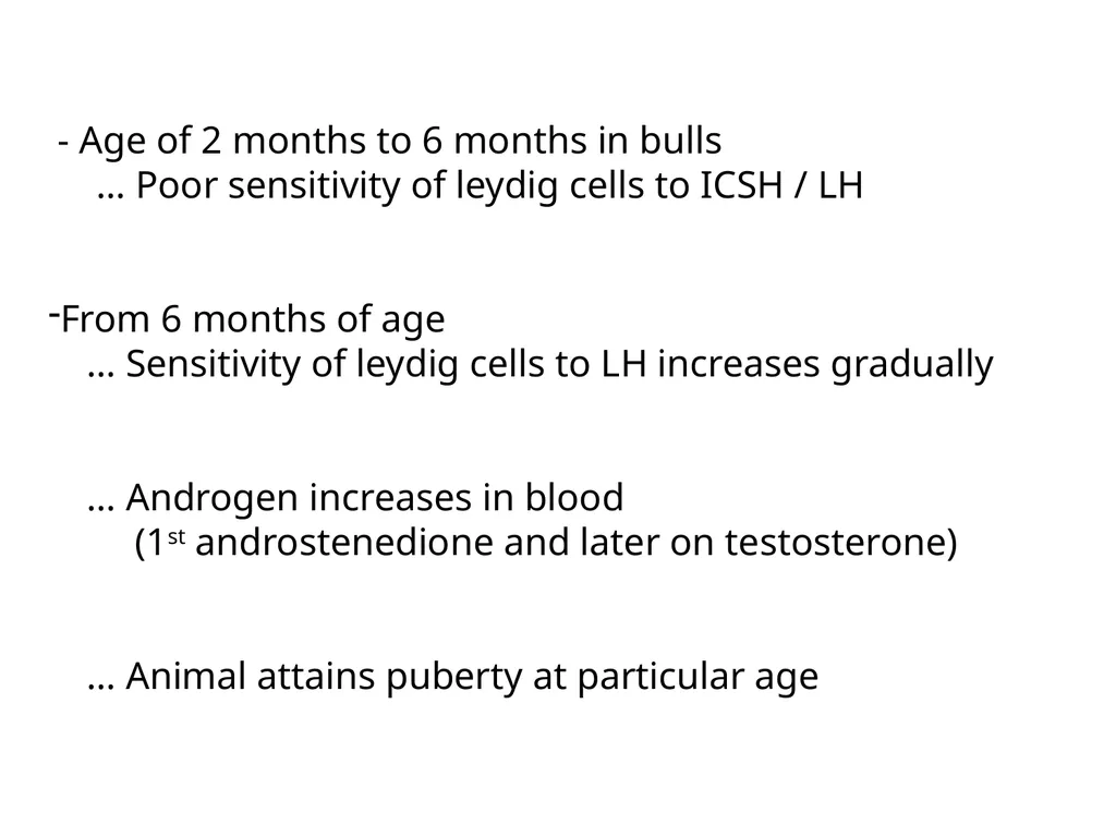 Puberty & sexual maturity in male animals - Dr. - slide 6 of 11