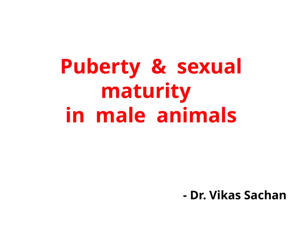 Puberty & sexual maturity in male animals - Dr. - slide 1 of 11