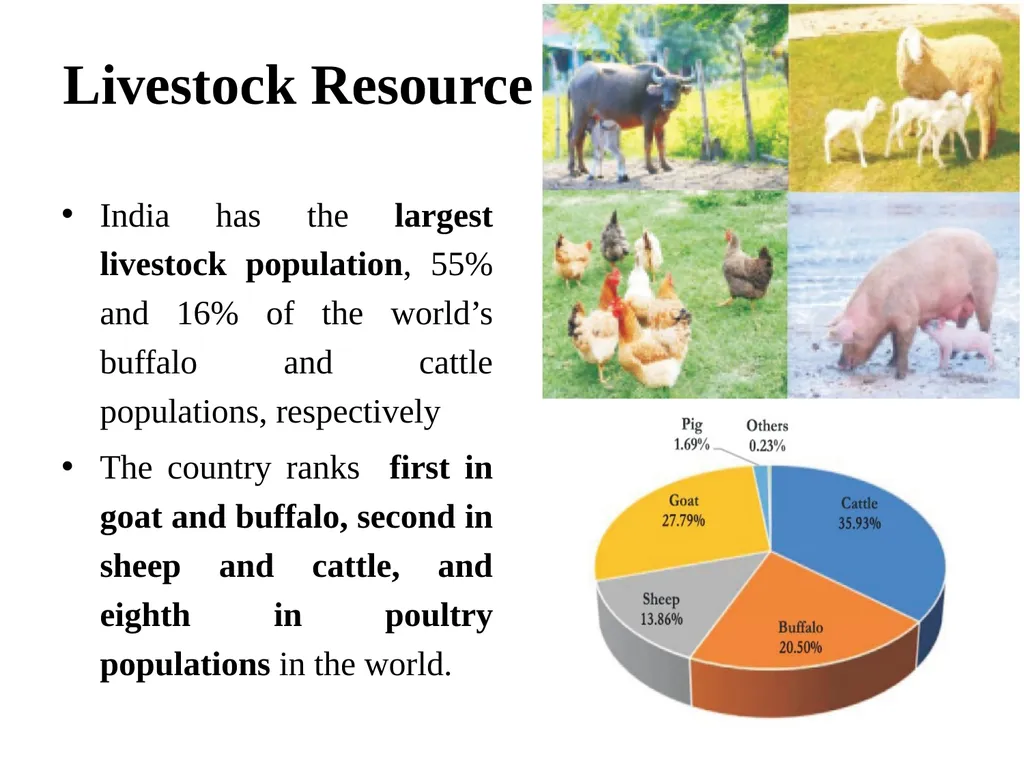 Prospects of Meat Industry in India Dr. R. K. - slide 2 of 21