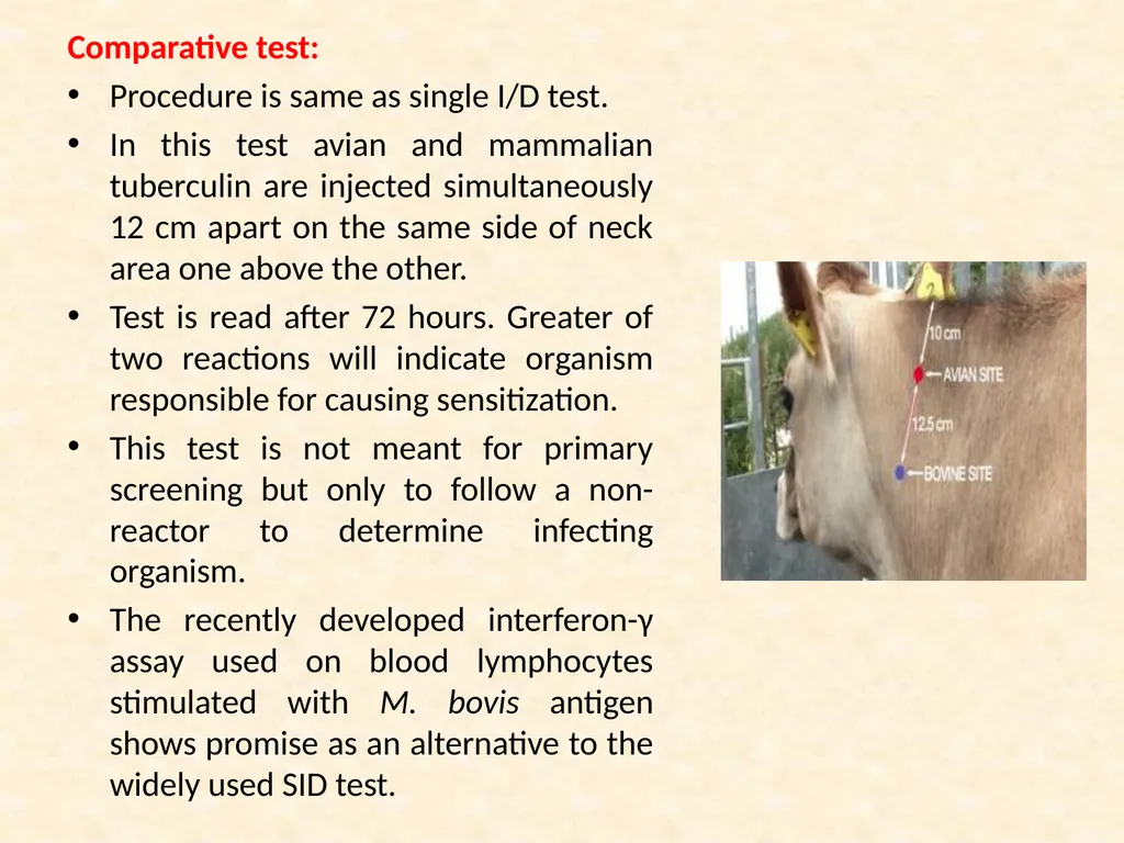 TUBERCULIN TEST VCP-II Dr. Anil Kumar Asst. - slide 9 of 9