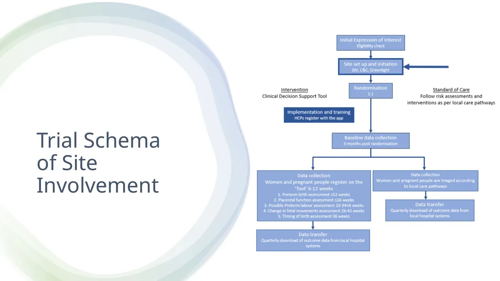 PregnAncy Risk assessmenT aNd dEcision suppoRt - slide 15 of 48
