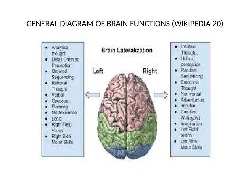 BRAIN RESEARCH INFORMATION RELATED TO TEACHING - slide 4 of 18