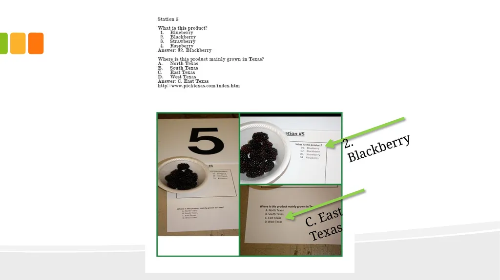 Agriculture Products Identification Contest Why is - slide 7 of 12