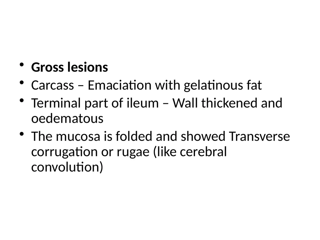 PASTEURELLOSIS Genus – PASTEURELLA MANNHEIMIA P. - slide 28 of 30