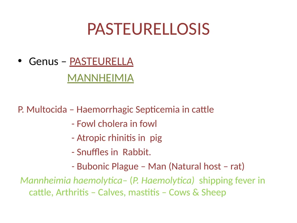 PASTEURELLOSIS Genus – PASTEURELLA MANNHEIMIA P. - slide 1 of 30