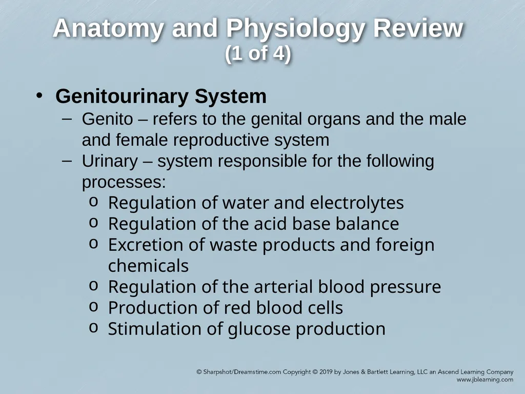 Chapter 29 Genitourinary and Renal Disorders - slide 3 of 52