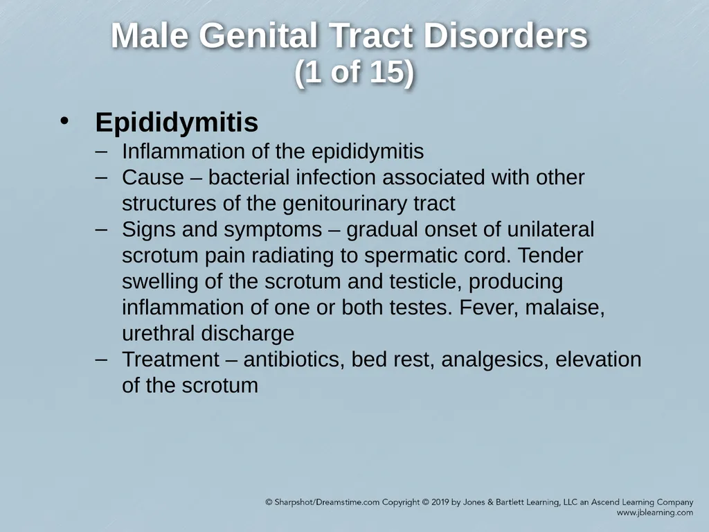 Chapter 29 Genitourinary and Renal Disorders - slide 36 of 52