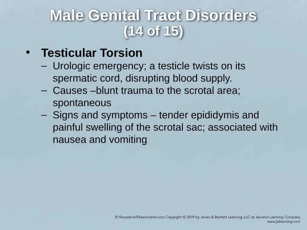 Chapter 29 Genitourinary and Renal Disorders - slide 49 of 52