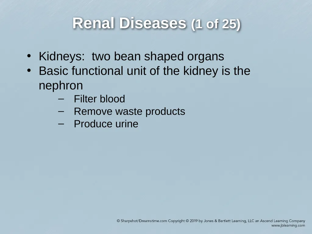 Chapter 29 Genitourinary and Renal Disorders - slide 7 of 52