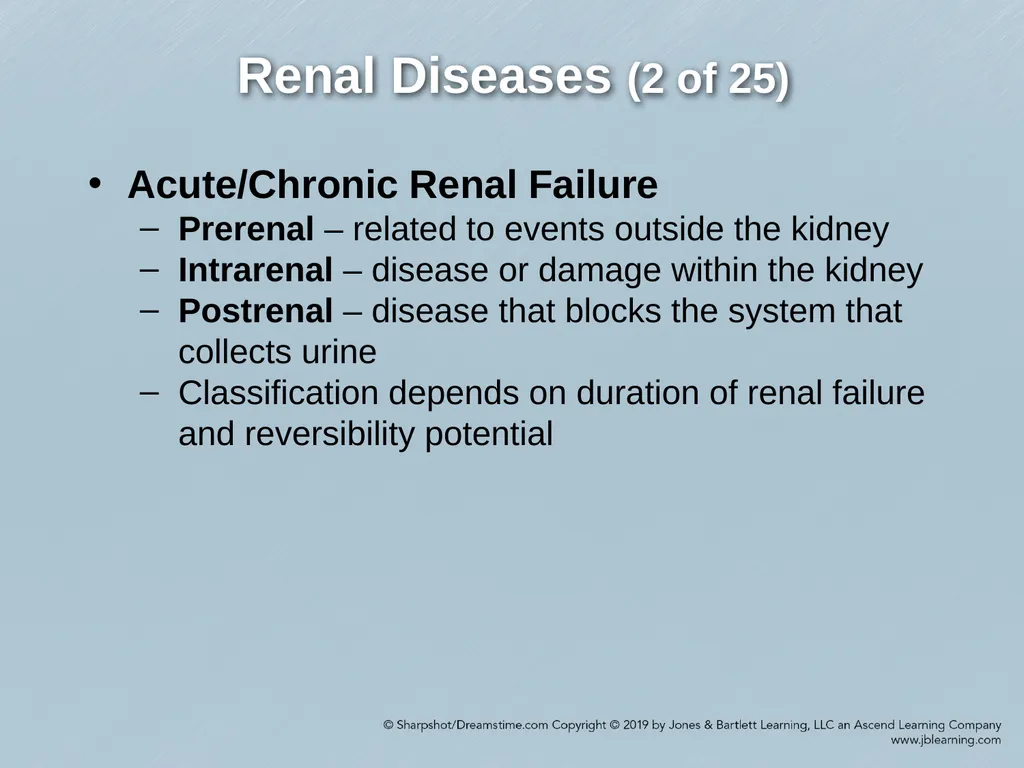 Chapter 29 Genitourinary and Renal Disorders - slide 8 of 52