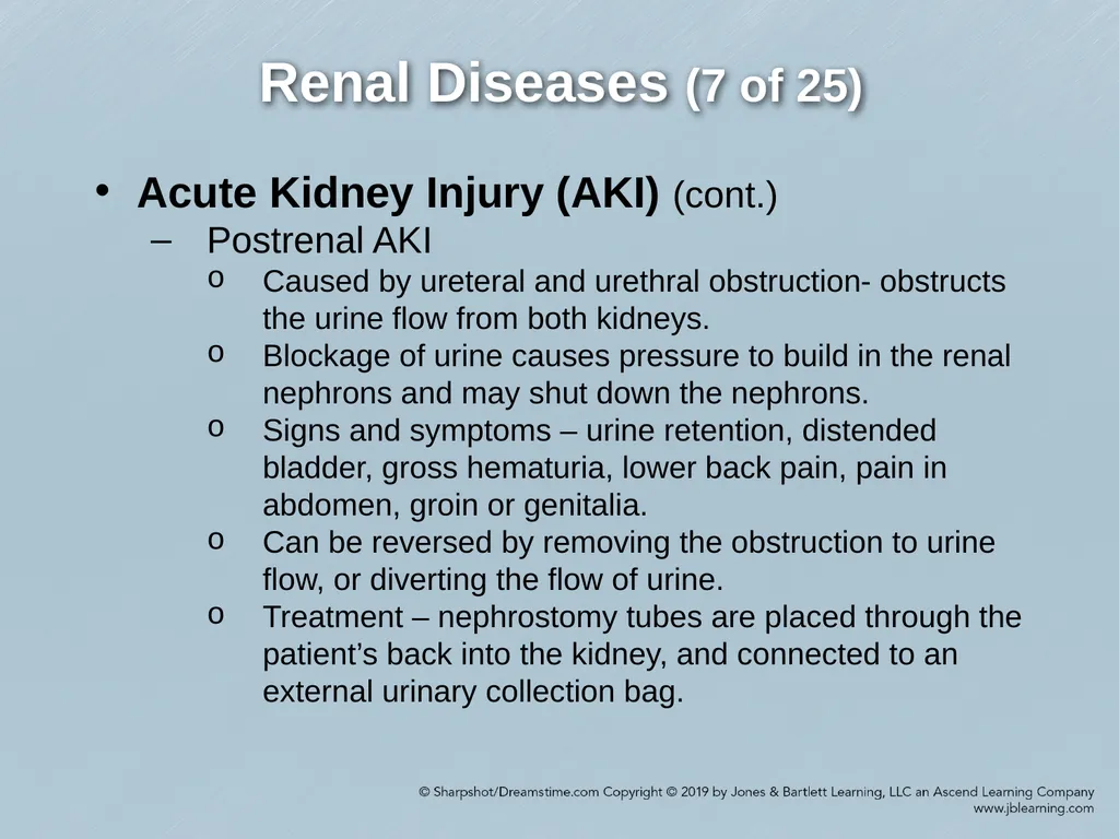 Chapter 29 Genitourinary and Renal Disorders - slide 13 of 52