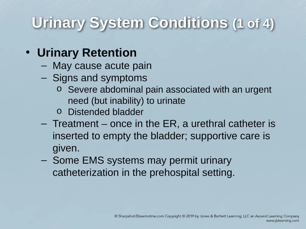 Chapter 29 Genitourinary and Renal Disorders - slide 32 of 52
