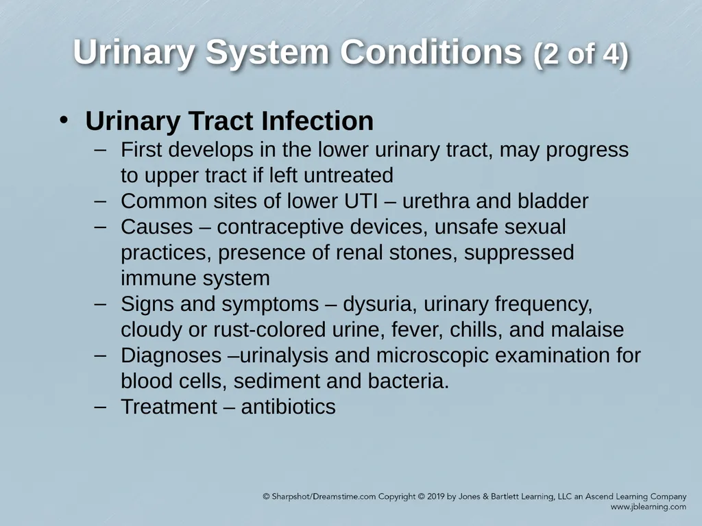 Chapter 29 Genitourinary and Renal Disorders - slide 33 of 52