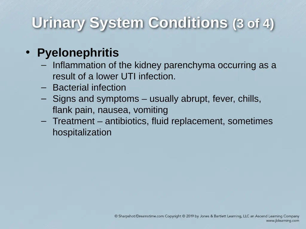Chapter 29 Genitourinary and Renal Disorders - slide 34 of 52
