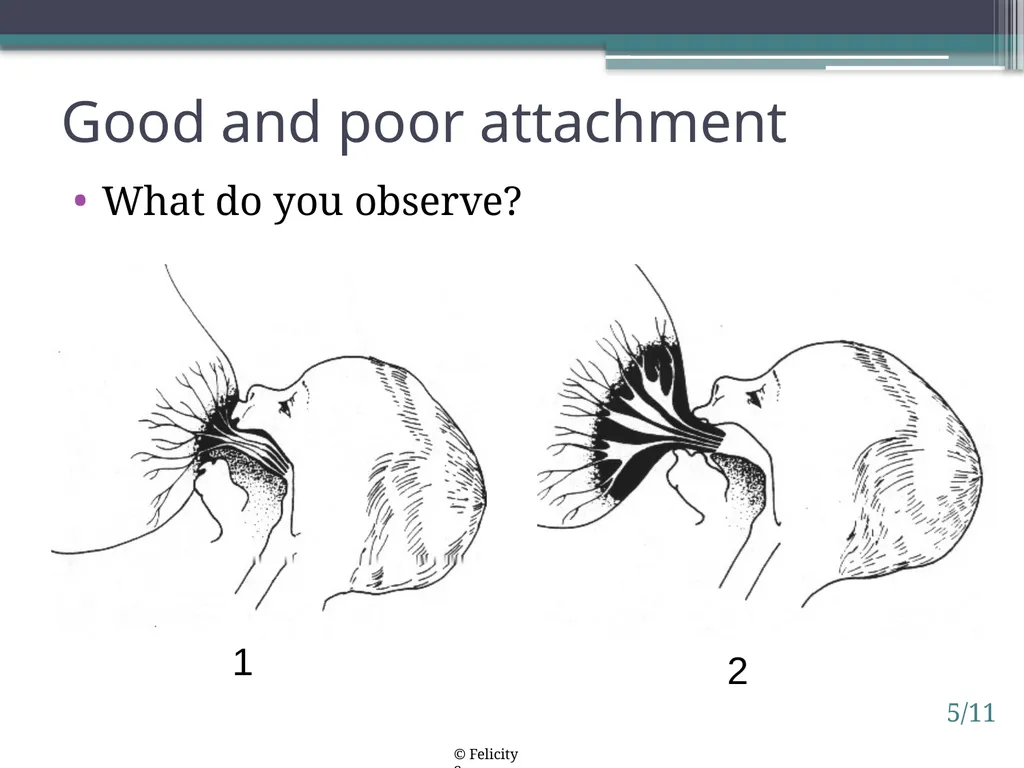 Session 5. How breastfeeding works 5/1 © - slide 11 of 16