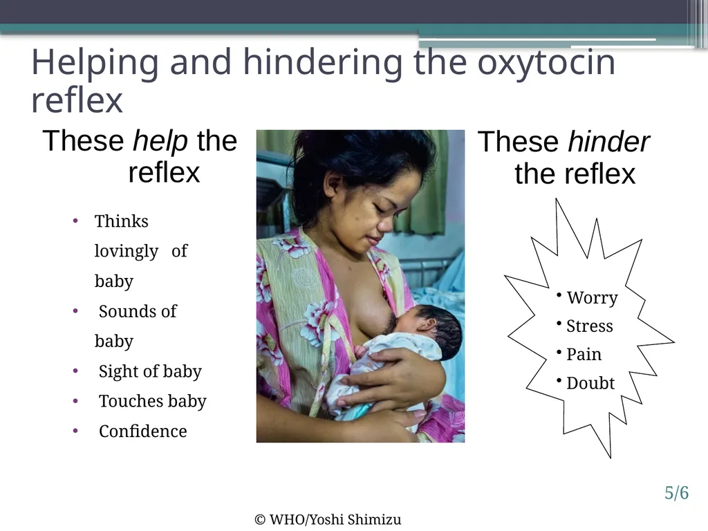 Session 5. How breastfeeding works 5/1 © - slide 6 of 16
