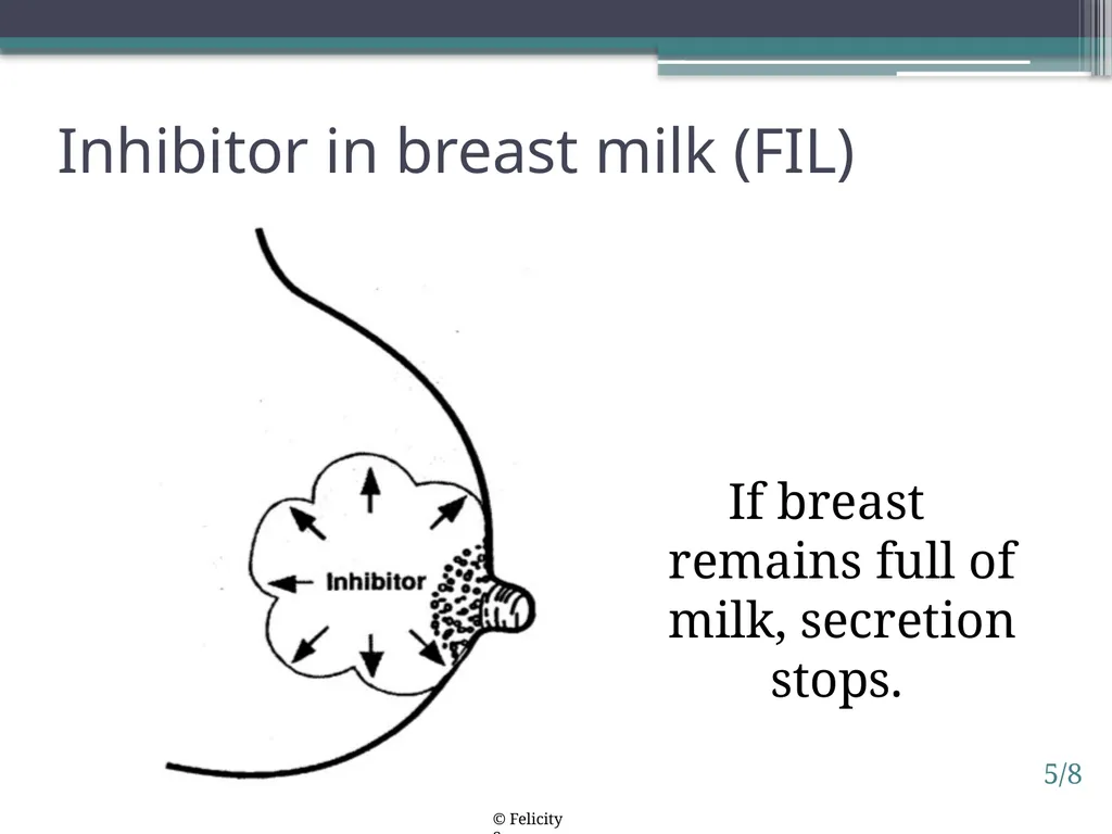 Session 5. How breastfeeding works 5/1 © - slide 8 of 16