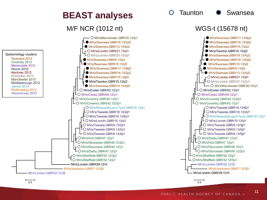 Next generation and Extended sequencing Working - slide 11 of 24
