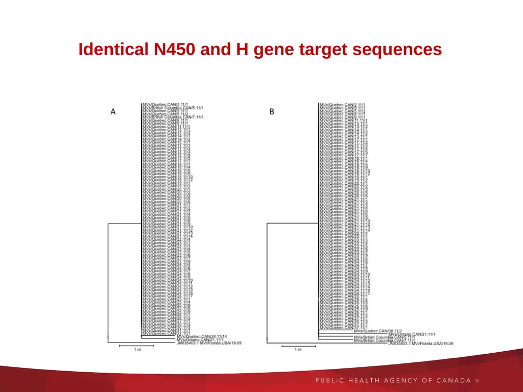 Next generation and Extended sequencing Working - slide 7 of 24