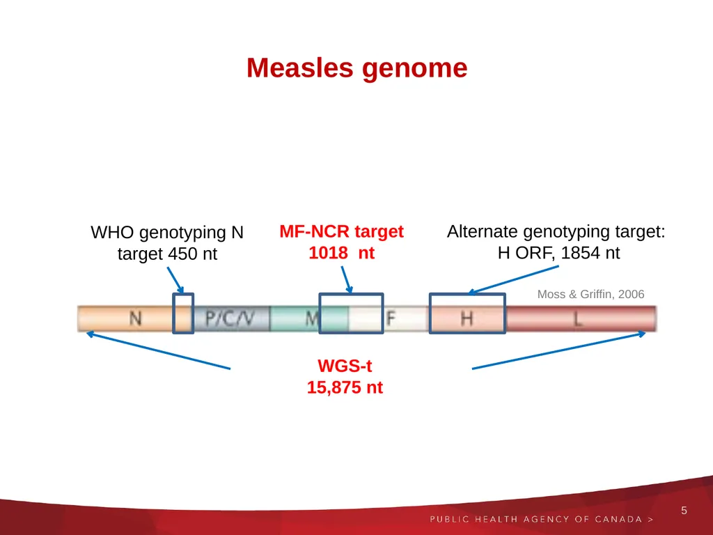 Next generation and Extended sequencing Working - slide 5 of 24