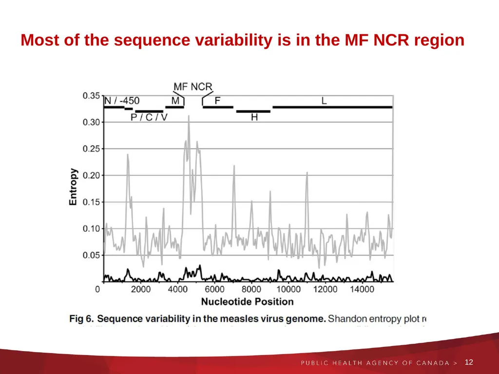 Next generation and Extended sequencing Working - slide 12 of 24
