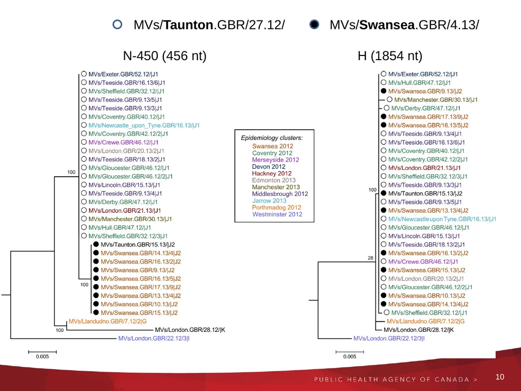 Next generation and Extended sequencing Working - slide 10 of 24