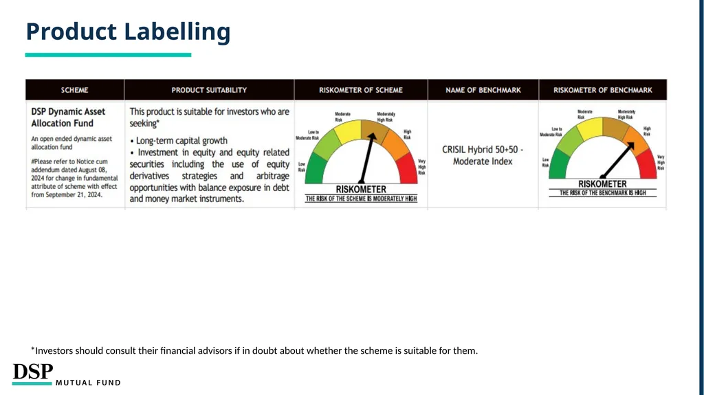 DSP Dynamic Asset Allocation Fund Defends Against - slide 17 of 19