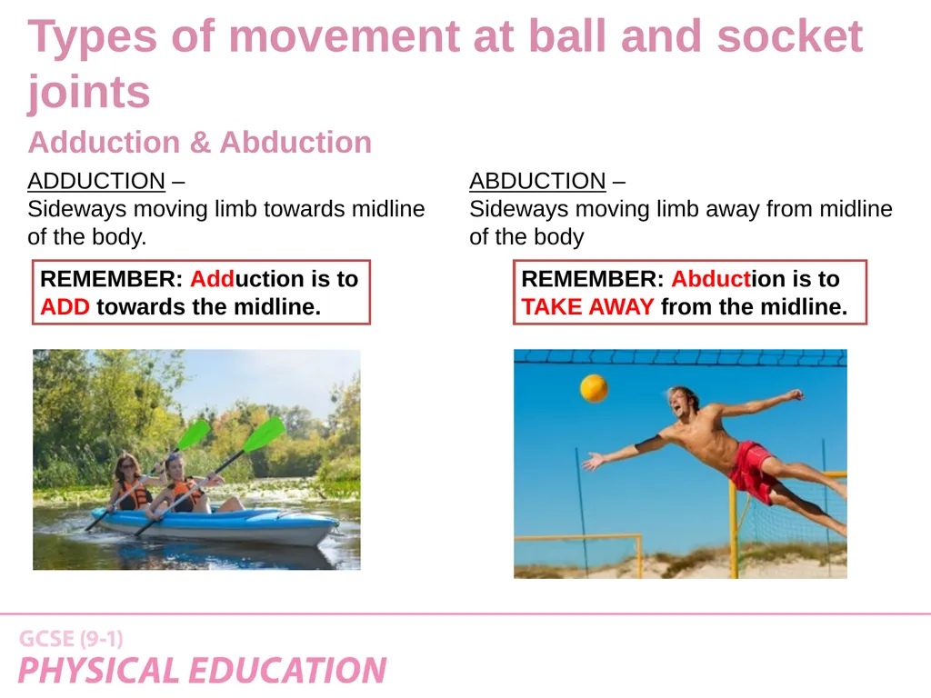 Applied Anatomy and Physiology Learning Outcomes - slide 28 of 33