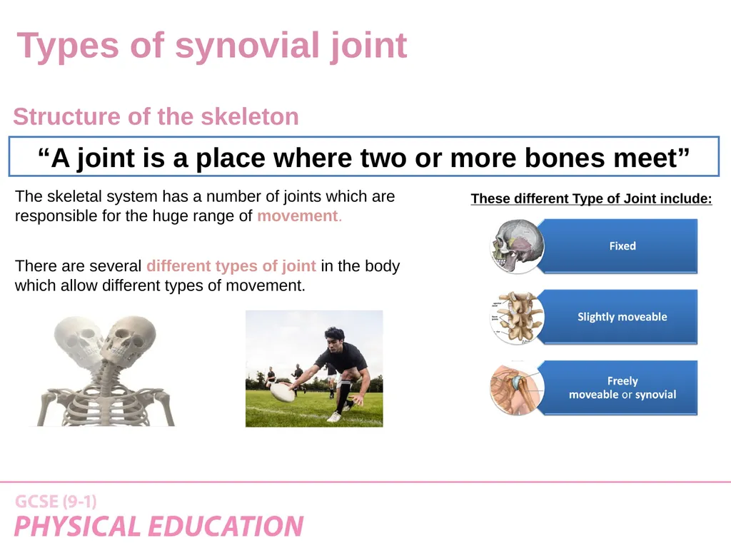 Applied Anatomy and Physiology Learning Outcomes - slide 19 of 33